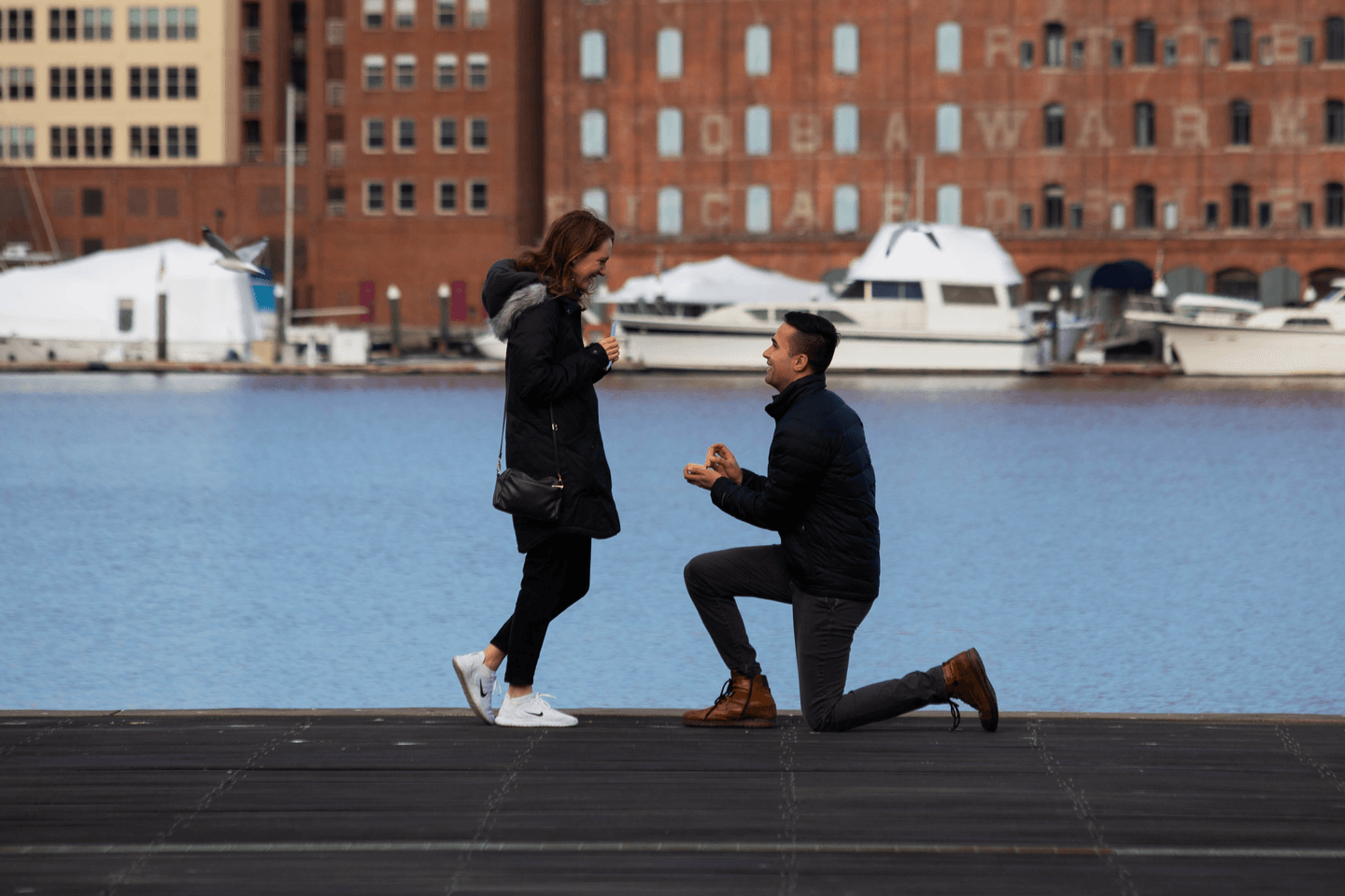 Dylan proposing to Ella